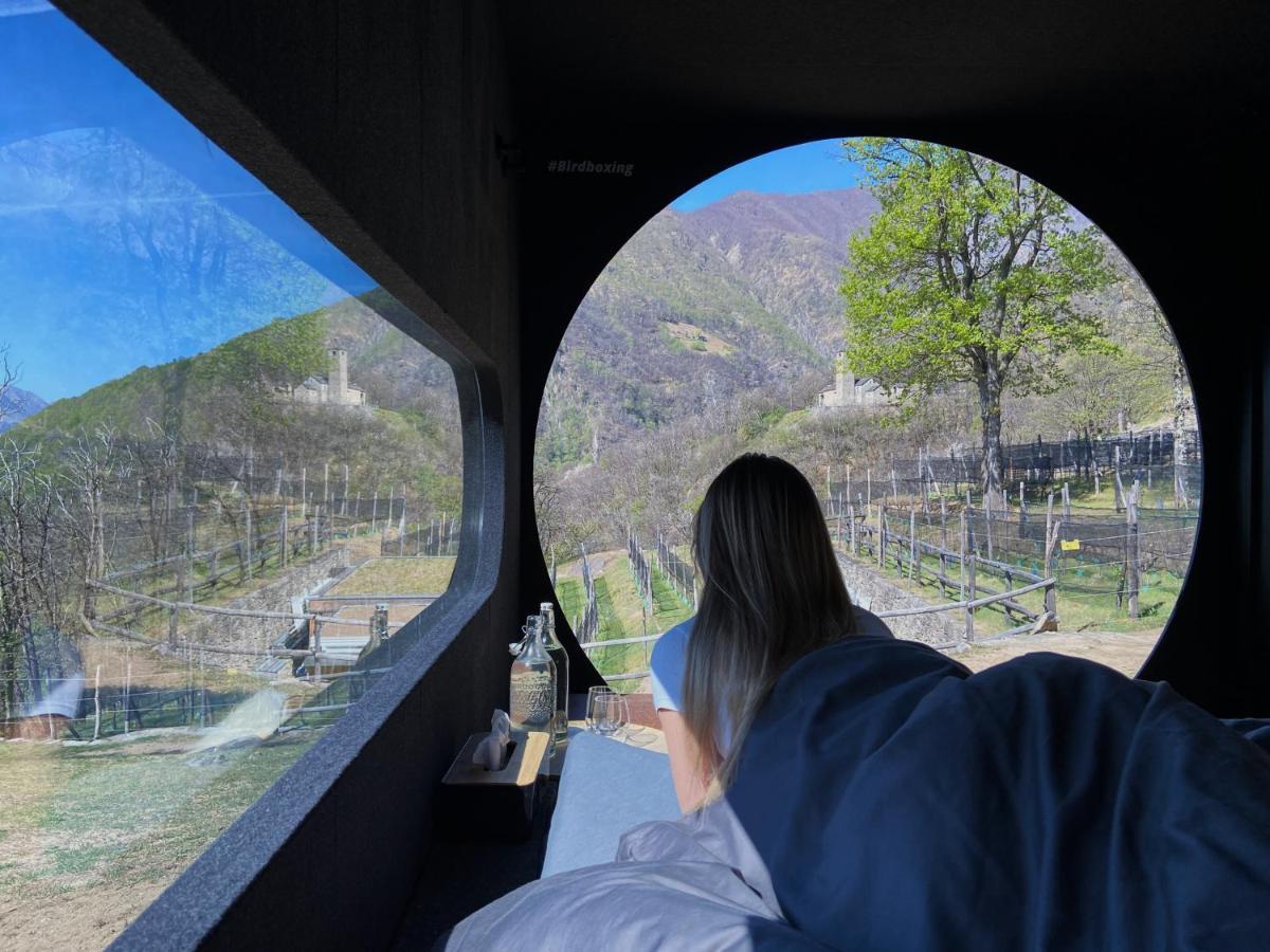 Birdbox Curzutt Hotel Monte Carasso Buitenkant foto