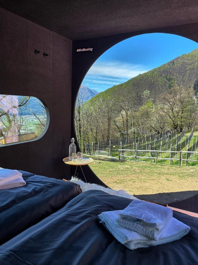 Birdbox Curzutt Hotel Monte Carasso Buitenkant foto