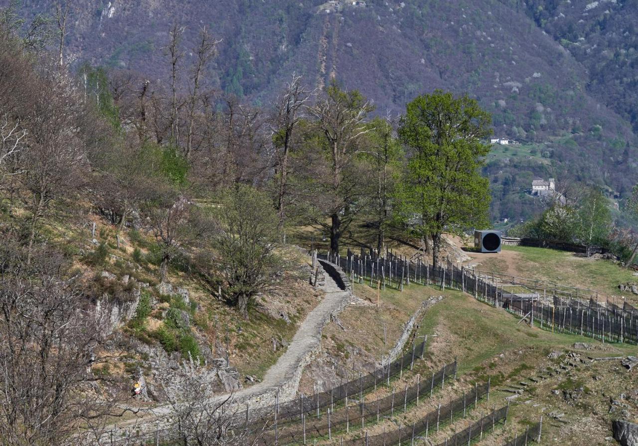 Birdbox Curzutt Hotel Monte Carasso Buitenkant foto