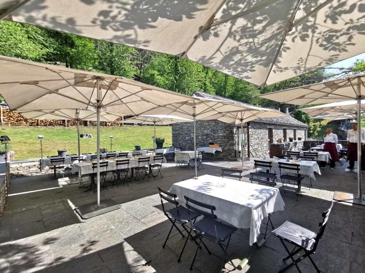 Birdbox Curzutt Hotel Monte Carasso Buitenkant foto